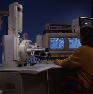 laboratorio de materiais, 1995