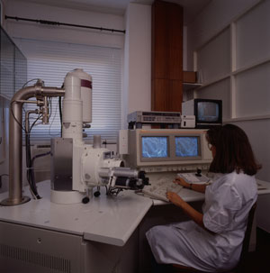 laboratorio de materiais, 1995